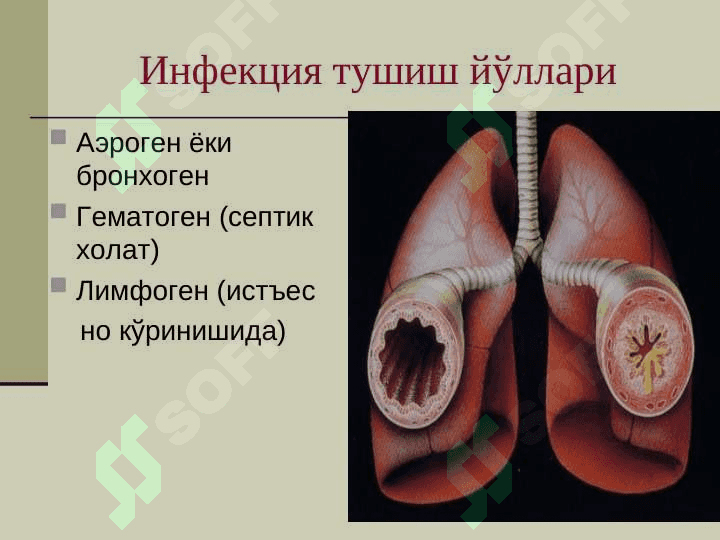болаларда пневмония 7