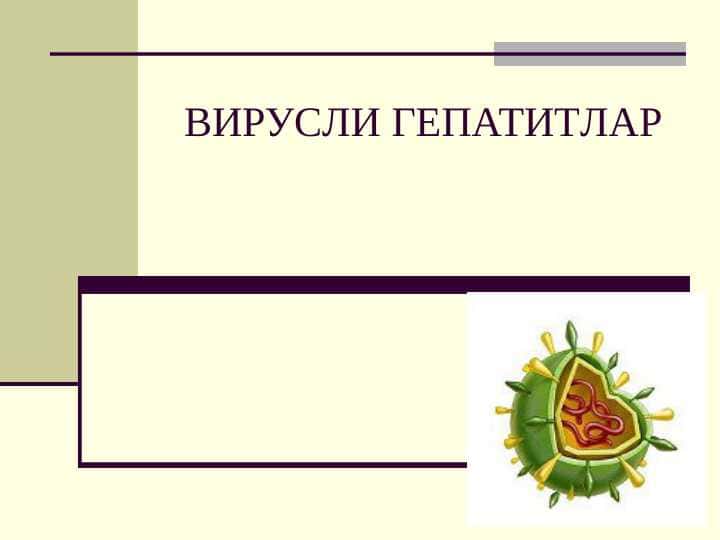 ВИРУСЛИ ГЕПАТИТЛАР 1
