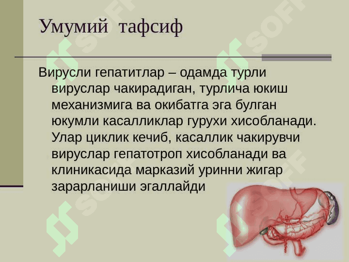 ВИРУСЛИ ГЕПАТИТЛАР 2