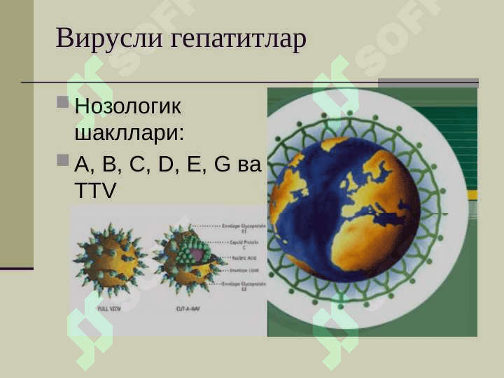 ВИРУСЛИ ГЕПАТИТЛАР 3