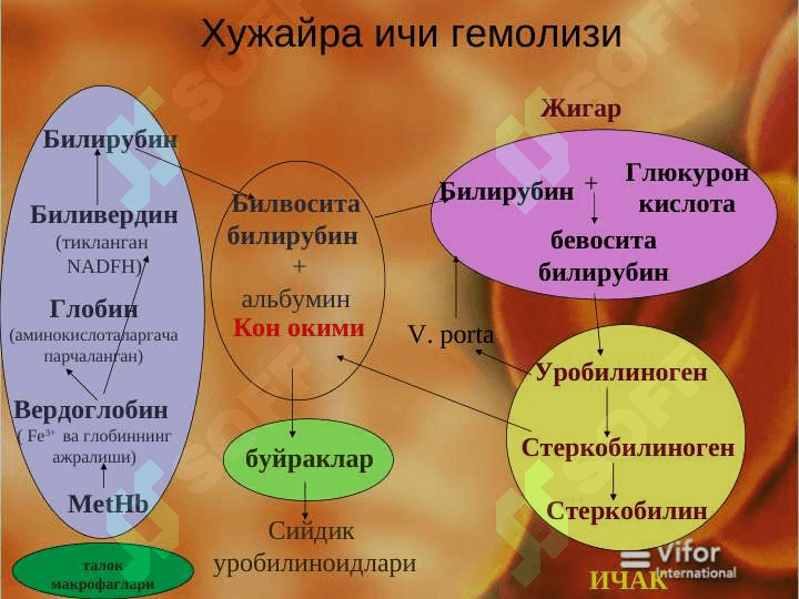 Гемолитик  анемия 8