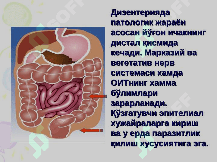 ДИЗЕНТЕРИЯ (Ичбуруғ) 6
