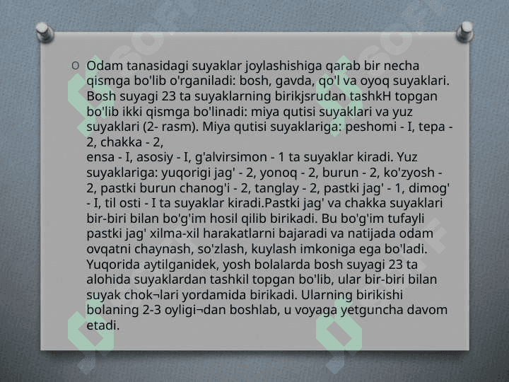 Tayanch harakat sistemasi 4