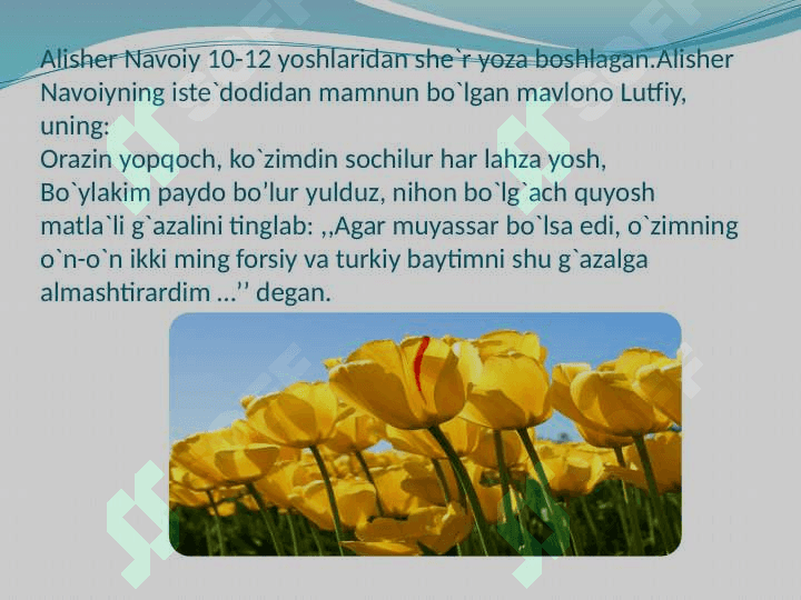 Alisher Navoiy-g’azal mulkining sultoni 4