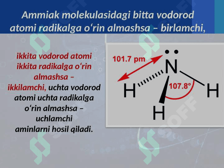 Aminlar haqida umumiy maʼlumot 2