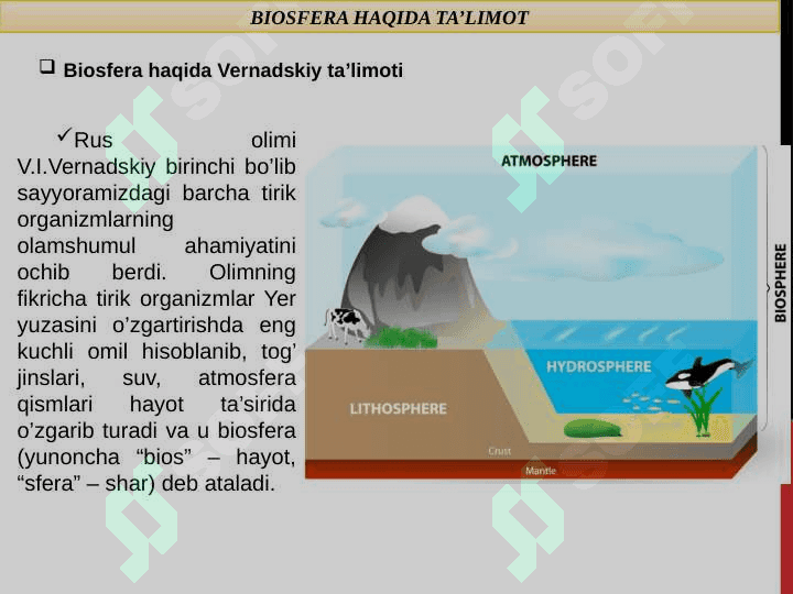 Biosfera.Tuzilishi va vazifalari 3