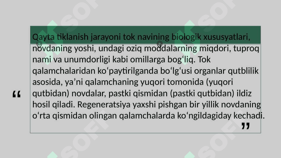 Tok ko'chatini yetishtirish texnologiyasi 4