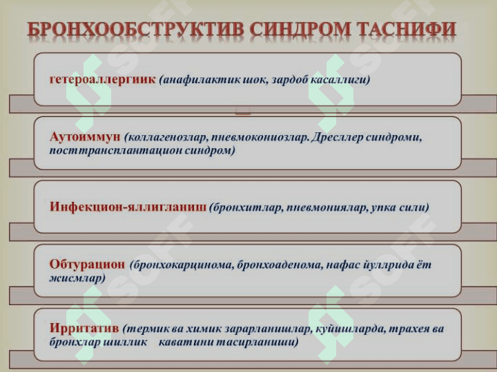Бронхообстуктив синдром 2