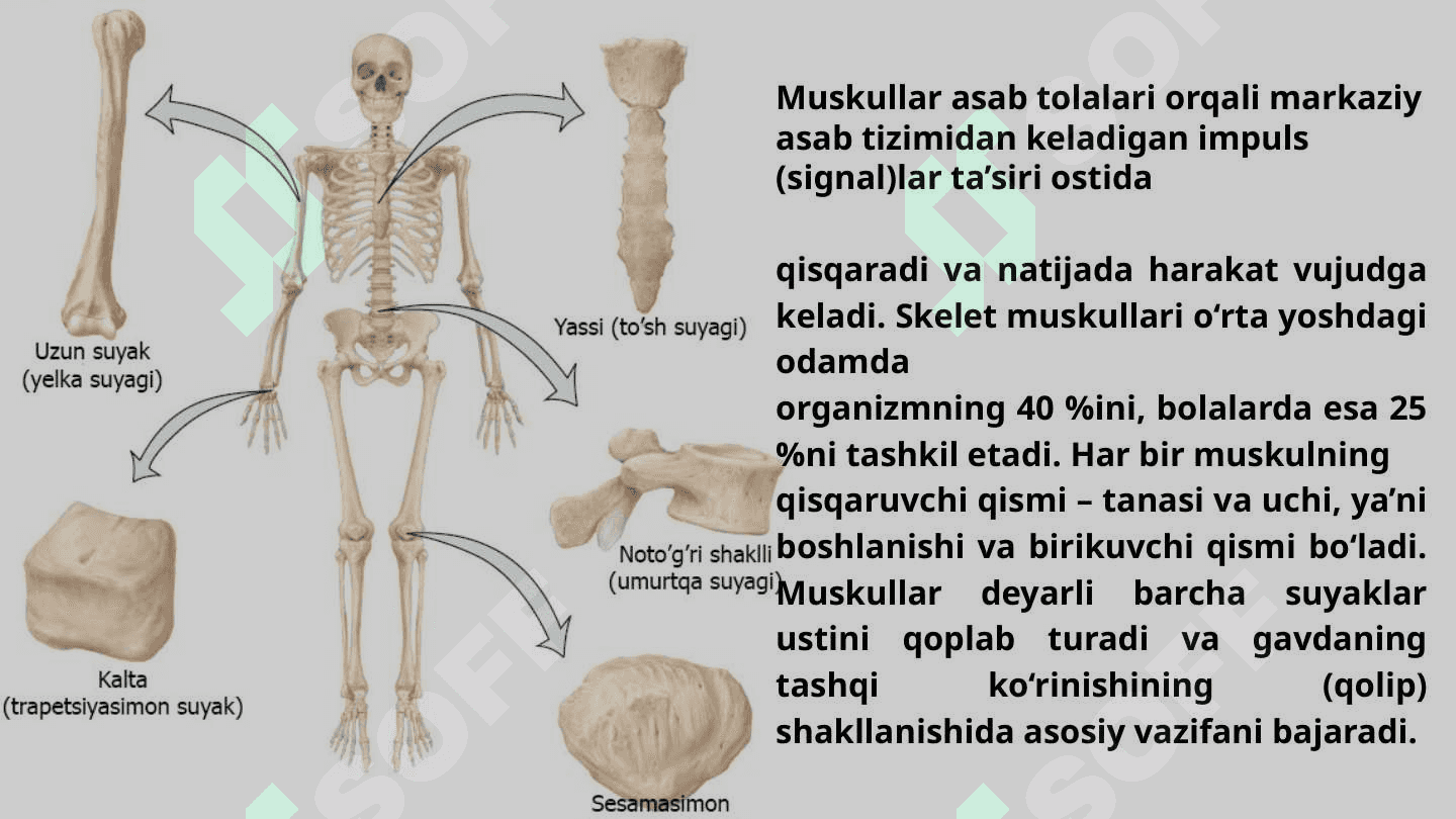 Tayanch - harakat tizimining mexanik shikastlanishi 7