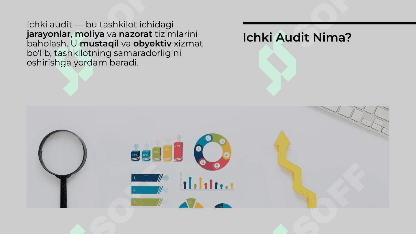 Ichki audit uning mohiyati va o'tkazish tartibi 3