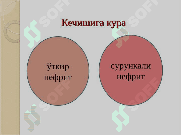 Buyrak mavzusi toliq malumot 6