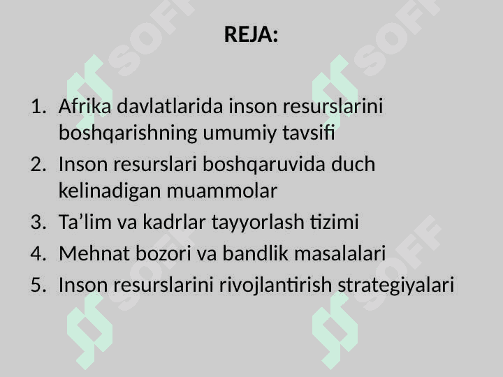 Afrika davlatlarida inson resurslarini boshqarish 2