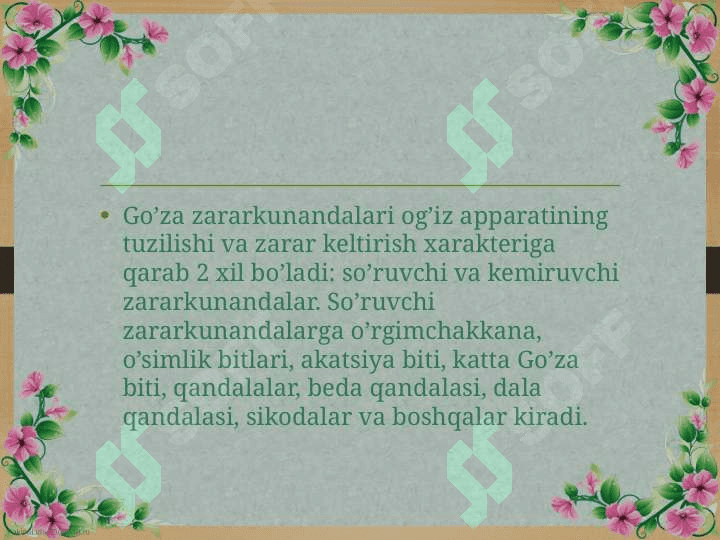 Go’zaning zararkunandalari va ularga qarshi kurash 3