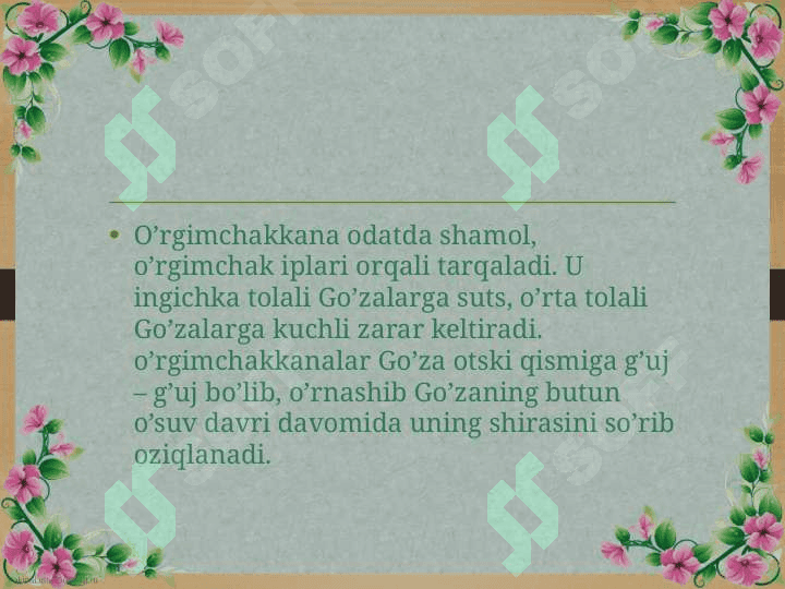 Go’zaning zararkunandalari va ularga qarshi kurash 6