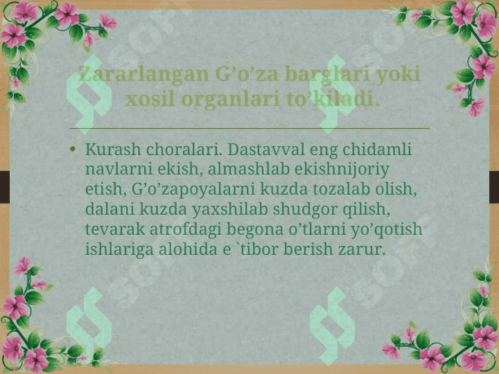 Go’zaning zararkunandalari va ularga qarshi kurash 7