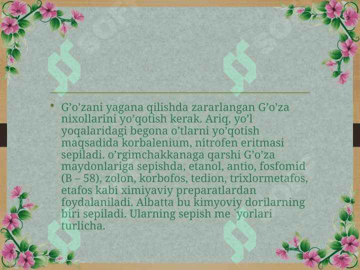 Go’zaning zararkunandalari va ularga qarshi kurash 8
