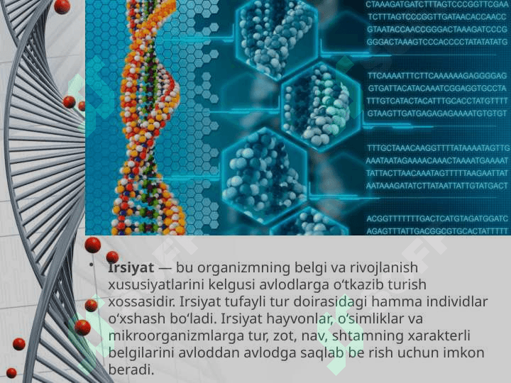 Irsiyat va o‘zga 3