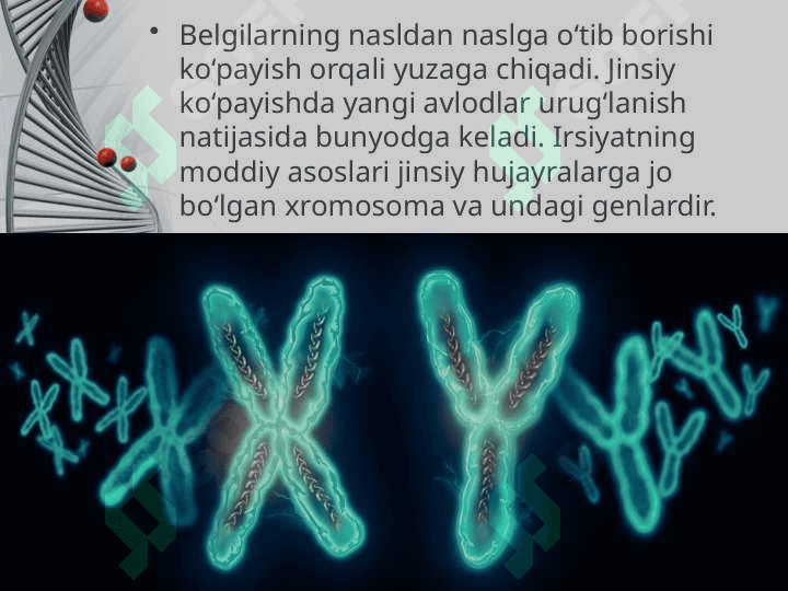 Irsiyat va o‘zga 4
