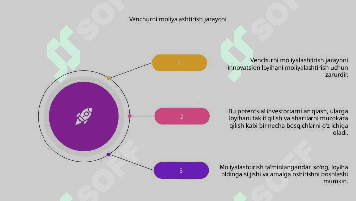 Innovatsion loyihani venchurli moliyalashtirish 8