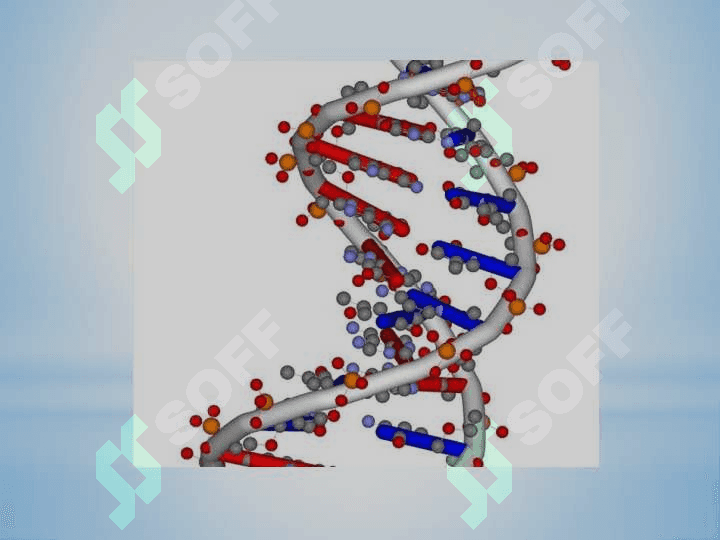 NUKLEOTIDLARNING ALMASHINUVI CHAROSCHA 4