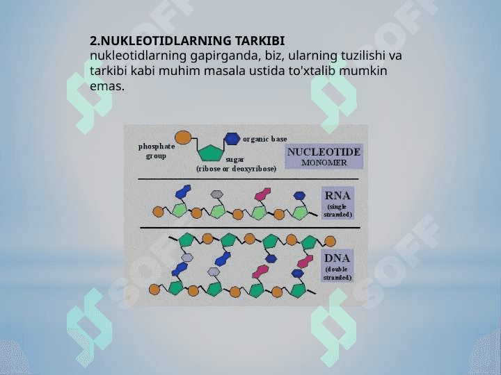 NUKLEOTIDLARNING ALMASHINUVI 6