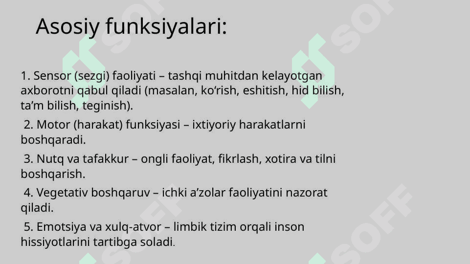 Prezentatsiya 3