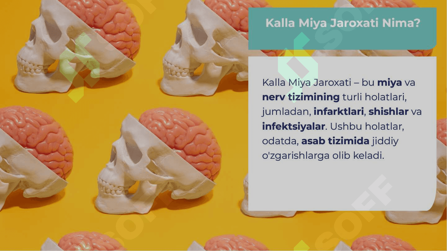 Kalla miya jaroxati 3