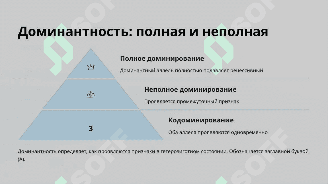 Моногибридное скрещивание и взаимодействие аллельных генов 7
