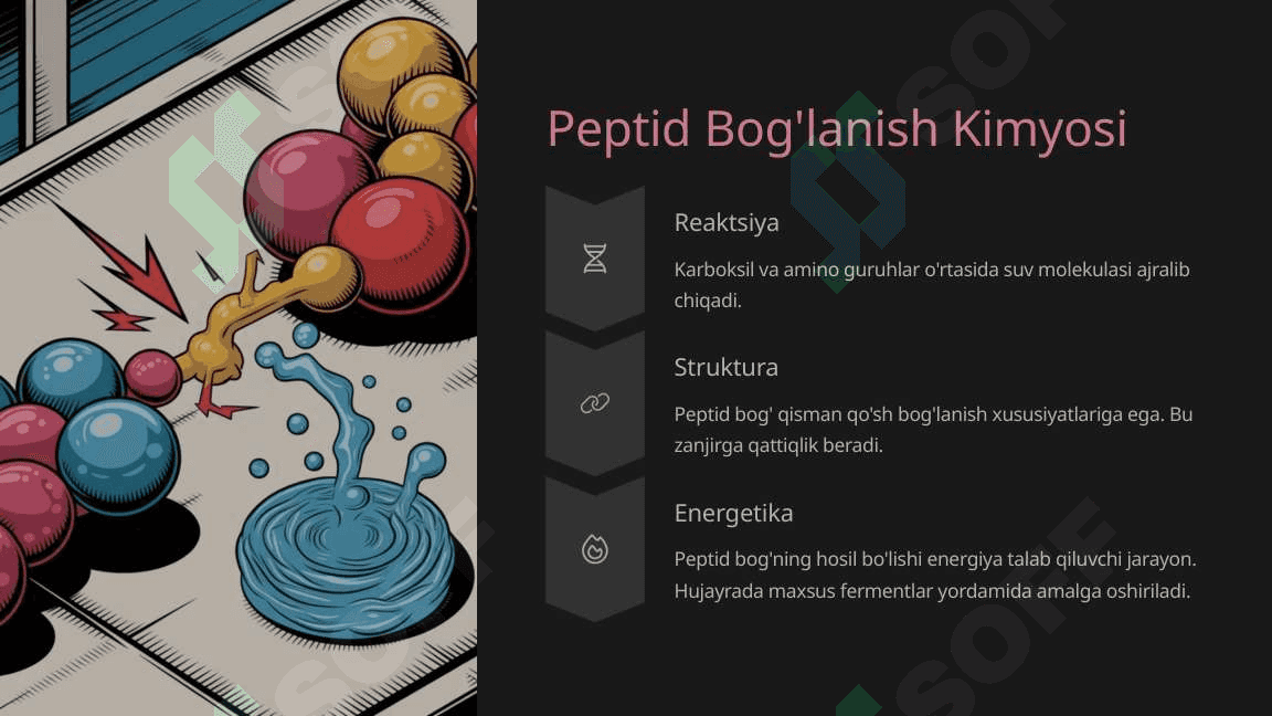 Peptid va oqsillar. Oqsillarning fazoviy konformatsiyalari. Peptid va oqsillarning funksiyalari. Oqsillarning fizik-kimyoviy xossalari. 3