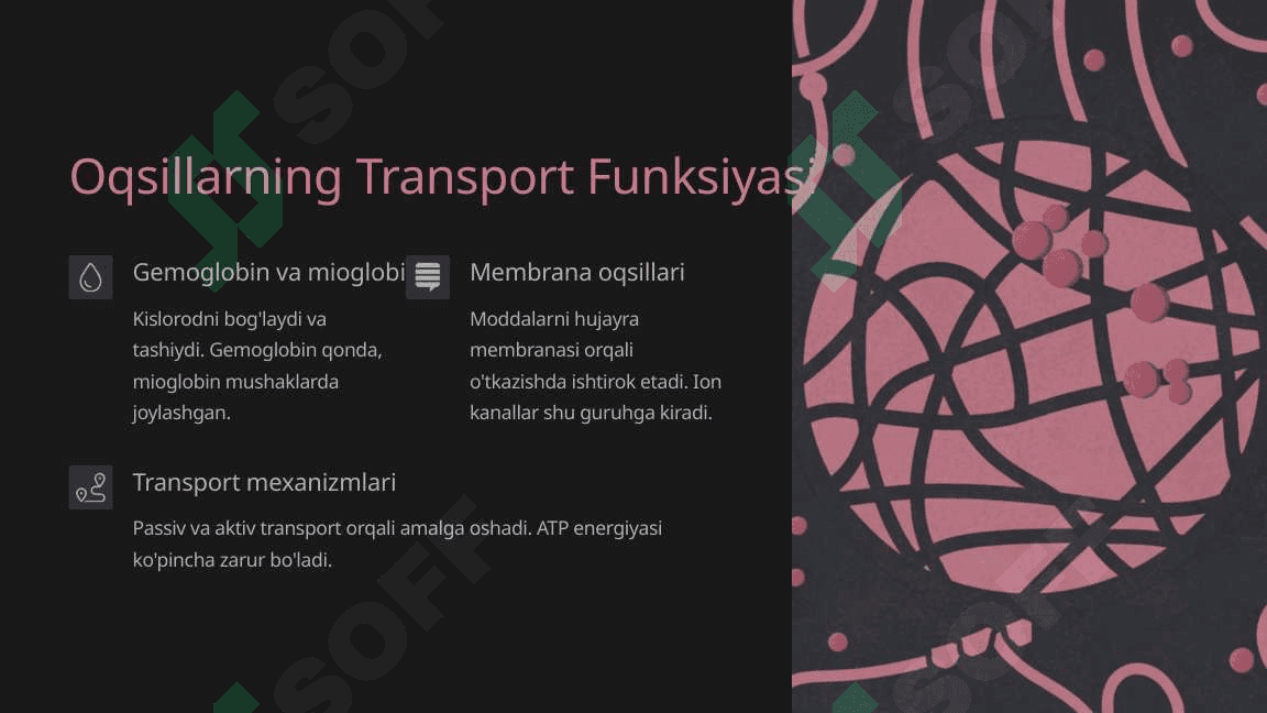 Peptid va oqsillar. Oqsillarning fazoviy konformatsiyalari. Peptid va oqsillarning funksiyalari. Oqsillarning fizik-kimyoviy xossalari. 8