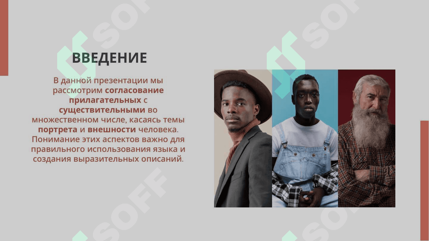 «ПОРТРЕТ, ВНЕШНОСТЬ ЧЕЛОВЕКА». СОГЛАСОВАНИЕ ПРИЛАГАТЕЛЬНЫХ С СУЩЕСТВИТЕЛЬНЫМИ ВО МНОЖЕСТВЕННОМ ЧИСЛЕ. 2