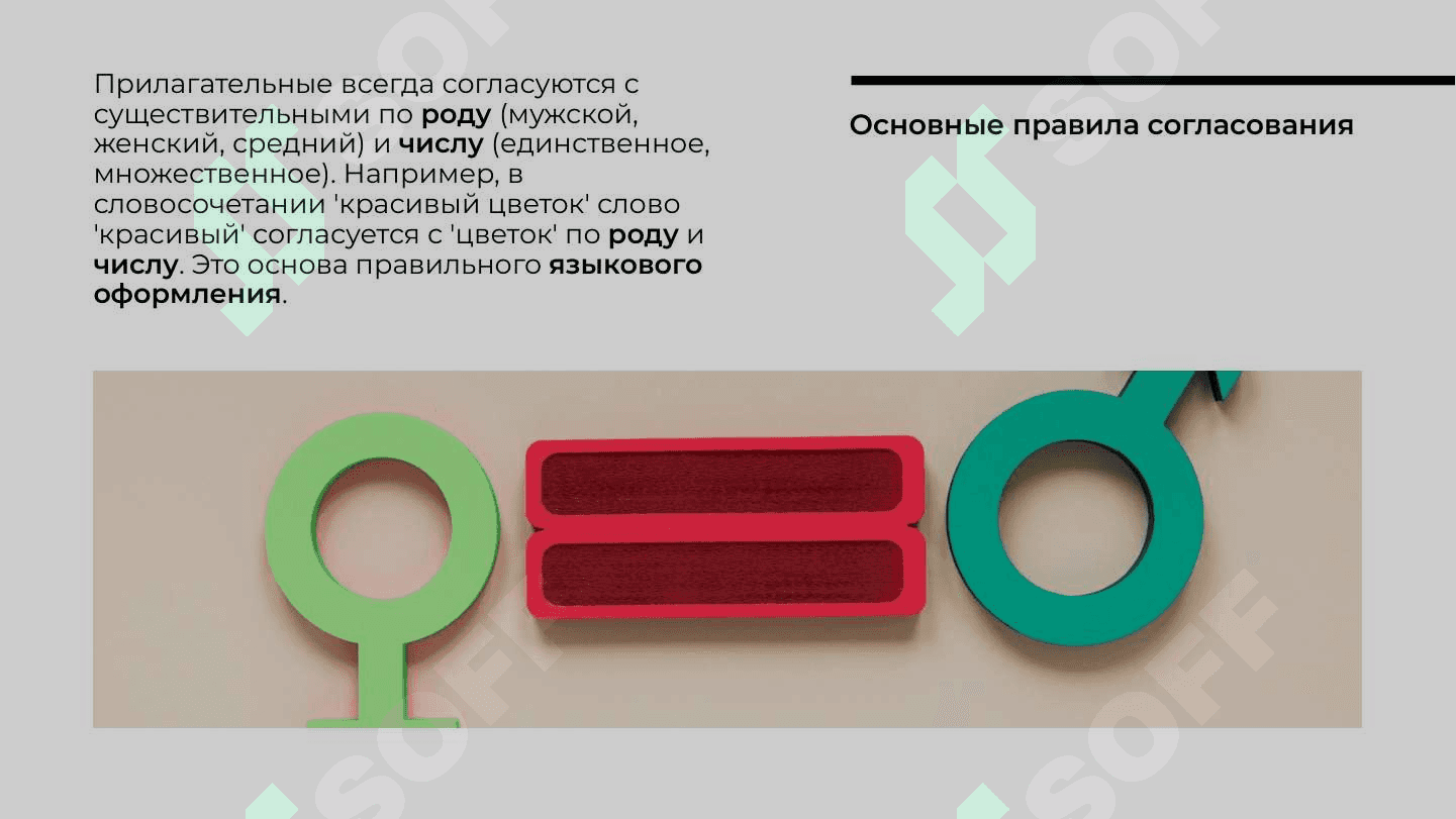 Природа. Времена года. Согласование прилагательных с существительными в роде 3