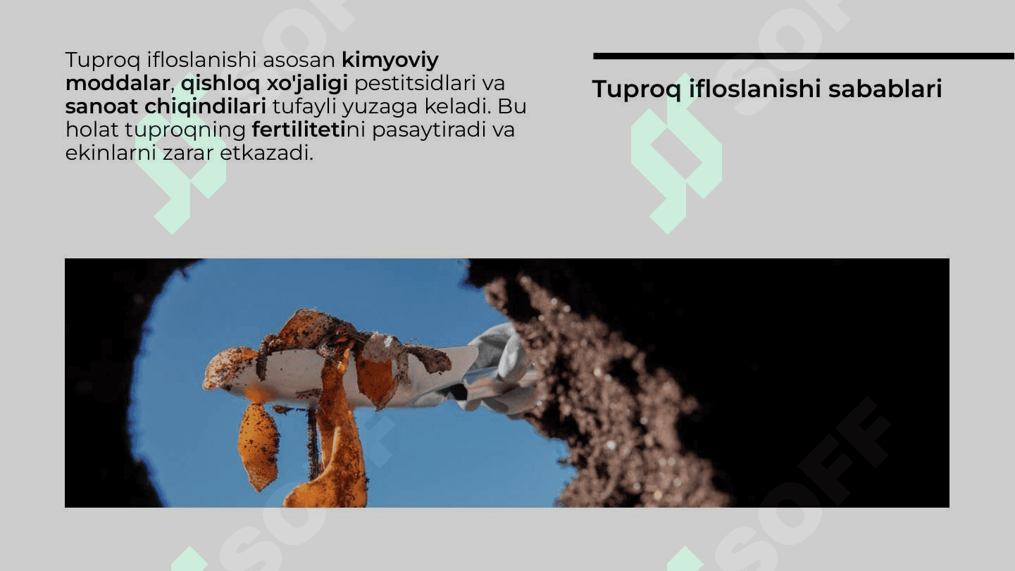 Tuproq va suvning ifloslanishi 3