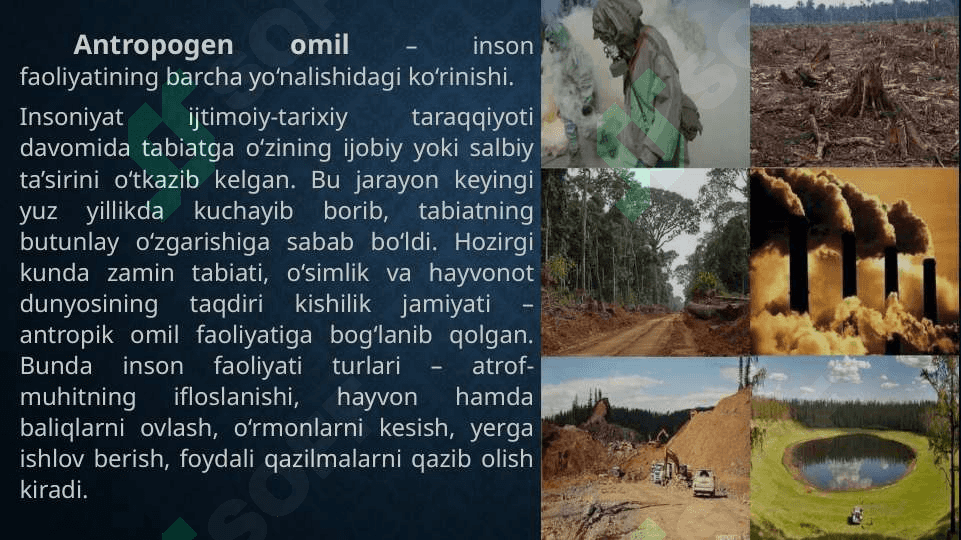 Muhit omillari va ularning tirik organizlarga ta’siri 7