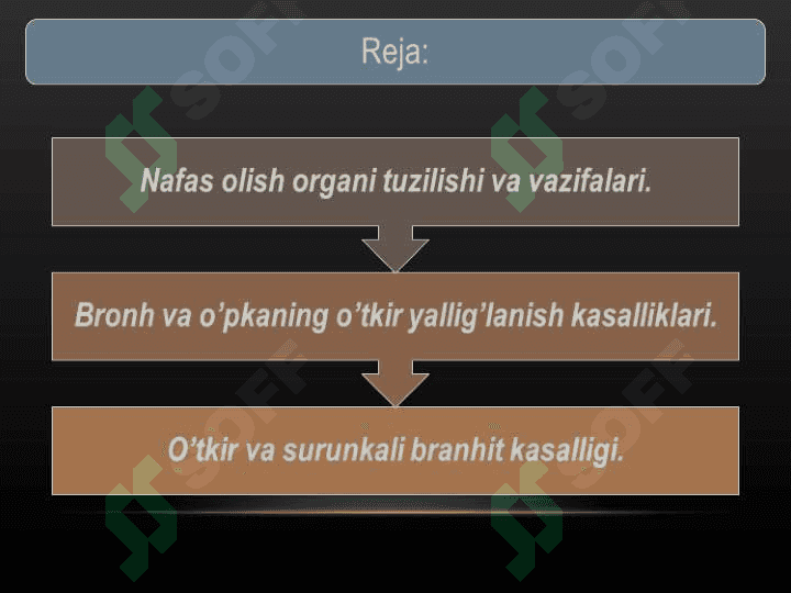 Nafas olish sistemasi kasalliklari va ularning oldini olish 2