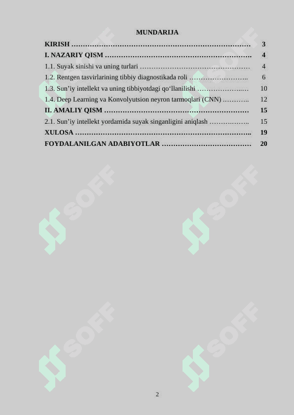 Sun’iy intellekt yordamida rentgen tasvirlari asosida suyak singanligini aniqlash 2