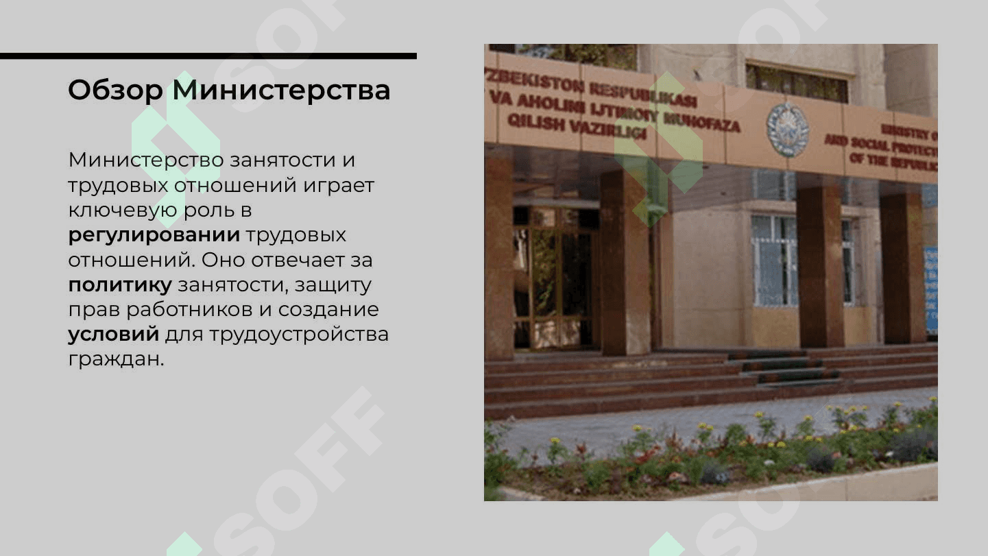 Анализ минестерство занятости и трудовых отношения  Республики Узбекистан 3
