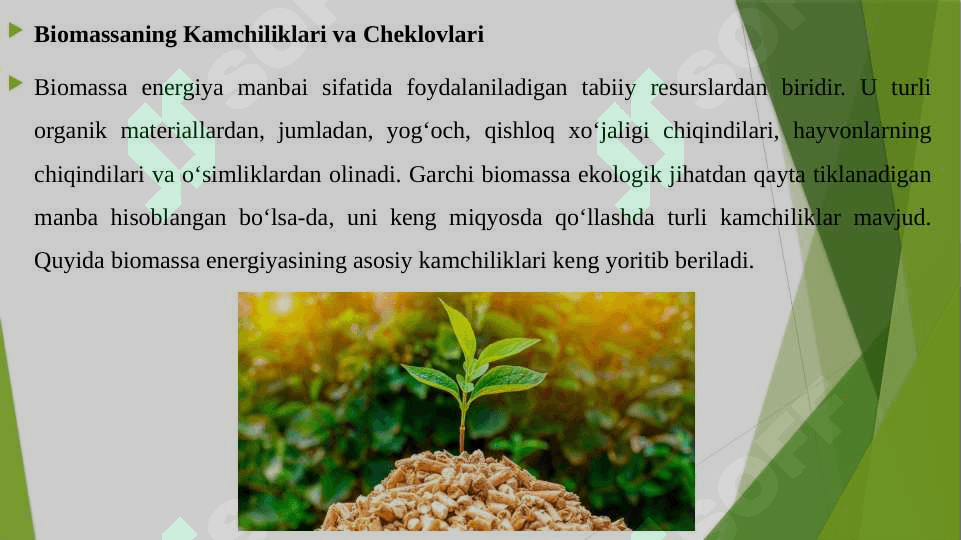 BIOMASSANING KAMCHILIKLARI 3