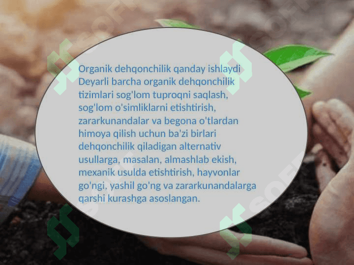 O'zbekistonda Organik dehqonchilik faoliyatining ob'ektlari 5