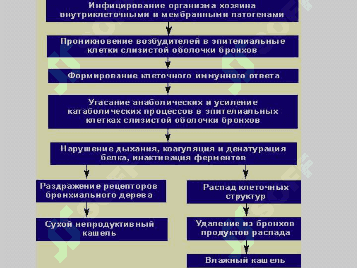 Yo'talning differentsial diagnostikasi 7