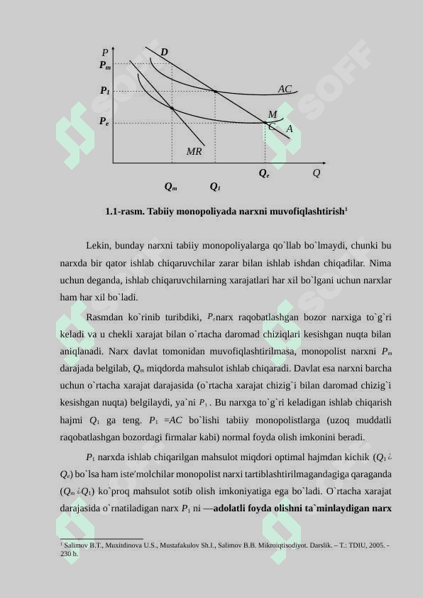 Monopol hokimiyat sharoitida narx belgilash va diversifikatsiyalash tamoyillari. 7