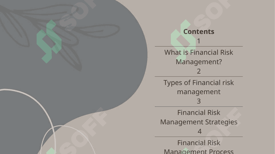 FINANCIAL RISK MANAGEMENT 2
