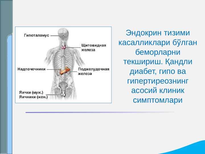 ENDOKRIN TIZIMI KASALLIKLARI BO`LGAN BEMORLARNI TEKSHIRISH. QANDLI DIABET, GIPO VA GIPERTIREOZNING ASOSIY KLINIK SIMPTOMLARI.