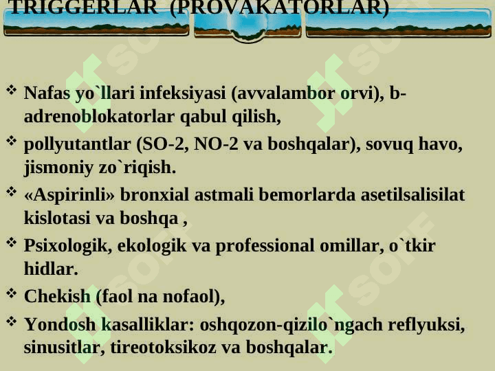 Bronxial astma 5