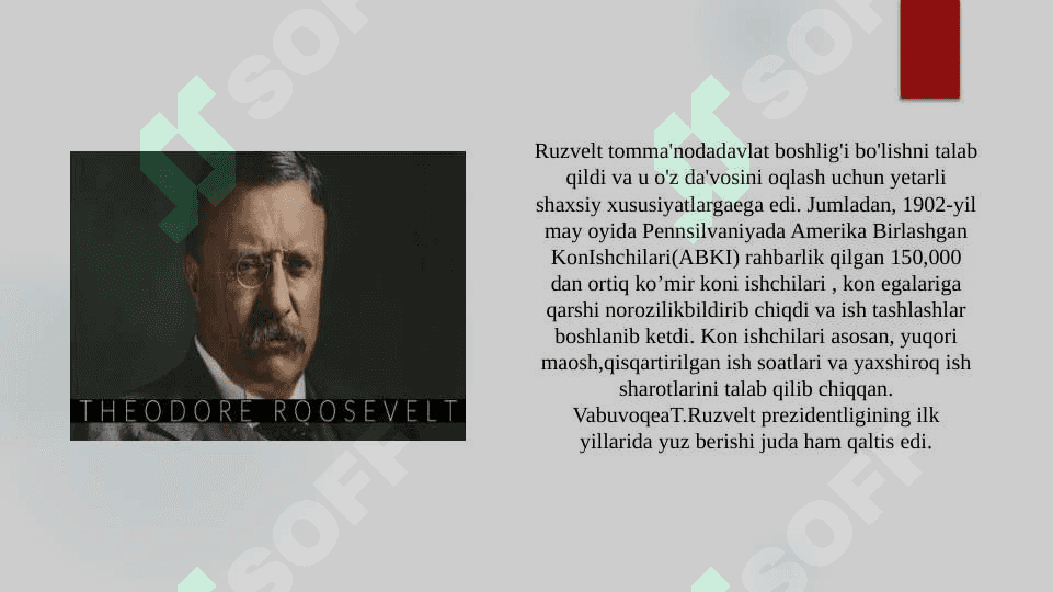 AQSH Teador Ruzvelt prezidentiligi davrida 3