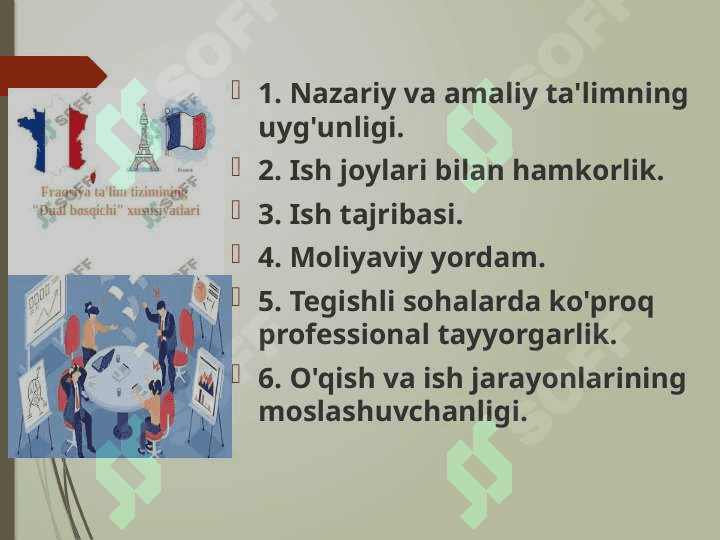 Frantsiya taʼlim tizimining Dual bosqichi xususiyatlari 3