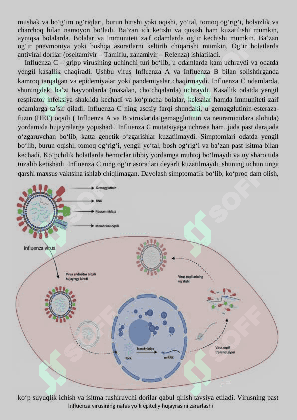 Virusli infeksiyalar      Virusli kasalliklar, gripp, qizamiq, gepatit, qutirish, OITS, poliomelit, onkogen viruslar. 3