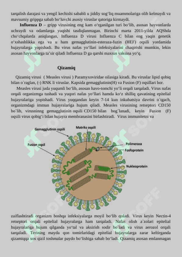 Virusli infeksiyalar      Virusli kasalliklar, gripp, qizamiq, gepatit, qutirish, OITS, poliomelit, onkogen viruslar. 4