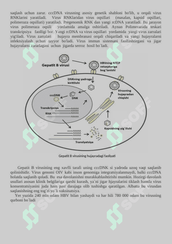 Virusli infeksiyalar      Virusli kasalliklar, gripp, qizamiq, gepatit, qutirish, OITS, poliomelit, onkogen viruslar. 7