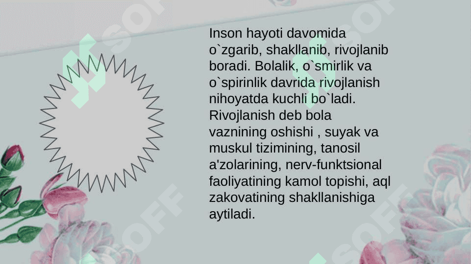 BOLANING SOTSIUMDA RIVOANISHI. 5